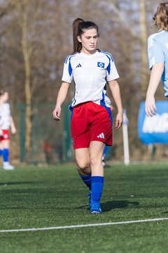 Bild 206 - F Hamburger SV 3 - Blau-Weiss 96 : Ergebnis: 5:1